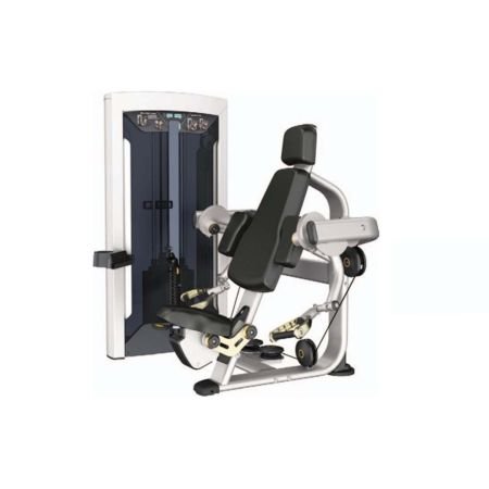 Weight Machine ARM CURL 43002