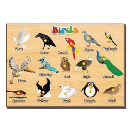 Birds ( PH 7116)