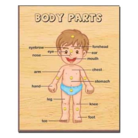 Body Parts Boy ( PH 7104)