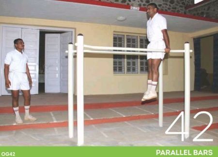 Parallel Bars (OG42)