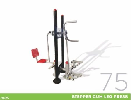 Stepper Cum Leg Press (OG75)