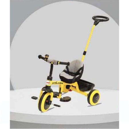 Trendy Trike ( with push handle ) GTS-187